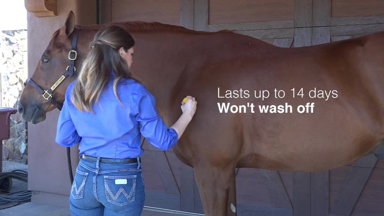 thumbnail video image 2 of Farnam Equi-Spot Spot-On Protection for Horses, protects up to 14 days 0.34 fl. oz., 2 of 10