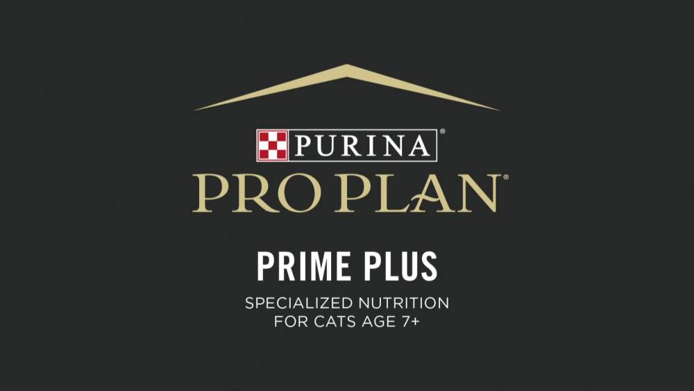 Purina Pro Plan Grain Free Senior Wet Cat Food Variety Pack Pate