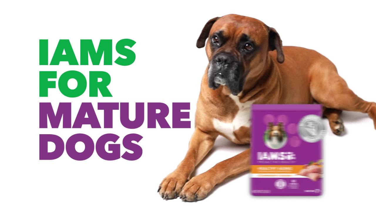 thumbnail video image 2 of Iams Proactive Health Minichunks Dry Dog Food With Real Lamb & Rice, 15 Lb. Bag, 2 of 12