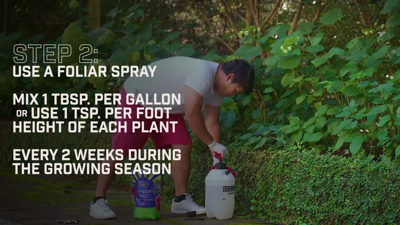 thumbnail video image 2 of Pennington Epsom Salt Plant Food Fertilizer, 7 lb., 2 of 7