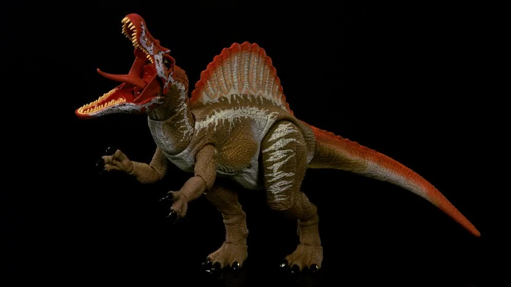thumbnail video image 2 of Jurassic World Hammond Collection Jurassic Park 3 Spinosaurus Action Figure, XL Dinosaur Toy, 2 of 7