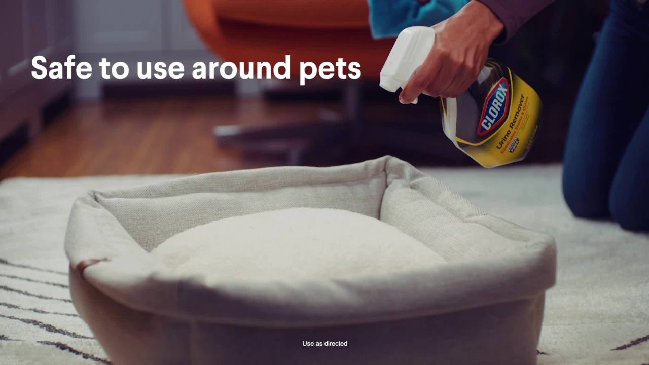 thumbnail video image 2 of Clorox Pet Carpet Stain Remover Refill for Urine Stains and Odors, 24 fl oz, 2 of 10