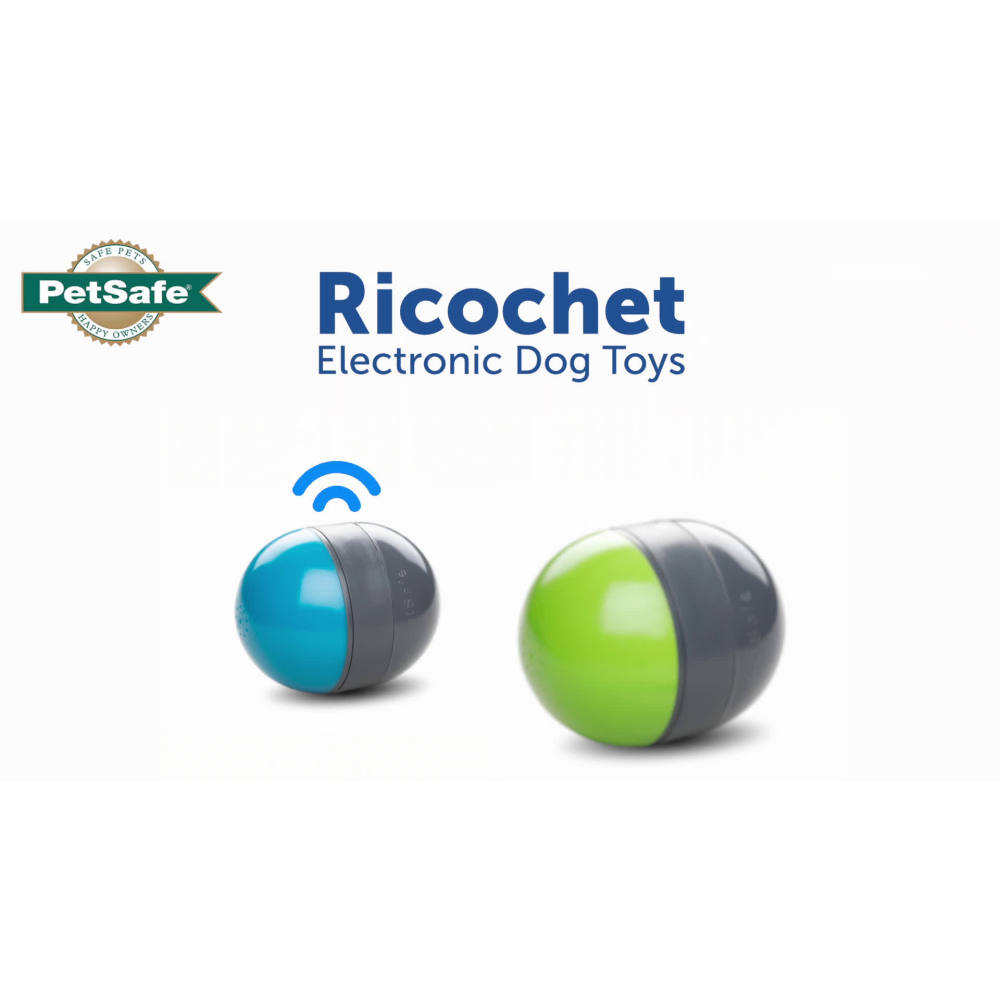 PetSafe Ricochet Electronic Squeak Dog Toys for All Dogs, Battery