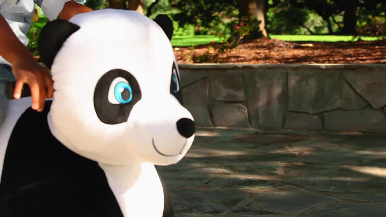 thumbnail video image 2 of Zoo Crew Panda 6V Plush Ride-On, 2 of 11