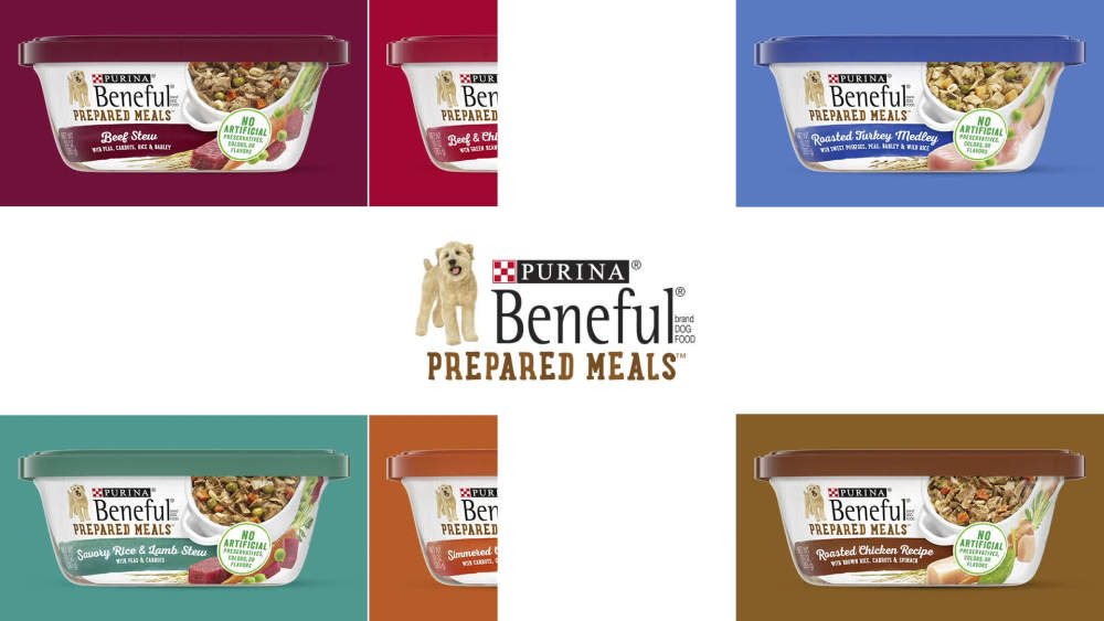 Purina Beneful Prepared Meals Wet Dog Food Simmered Chicken Medley, 10