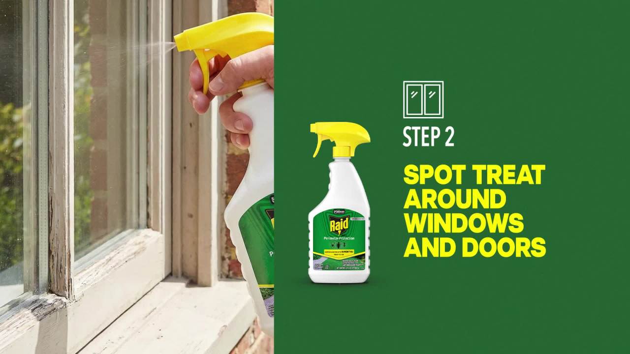 thumbnail video image 2 of Raid Outdoor Perimeter Protection Spray, Kills American Cockroaches & Argentine Ants for up to 18 Months, For Outdoor and Indoor Use, Water-Based, Easy-To-Use, Multipurpose Bug Barrier, 32 fl oz, 2 of 17