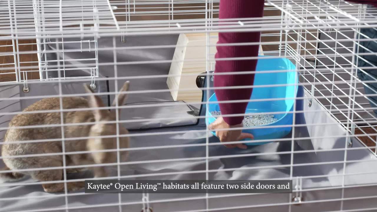 thumbnail video image 2 of Kaytee Open Living Pet Guinea Pig or Rabbit Habitat, 60" x 30", 2 of 16