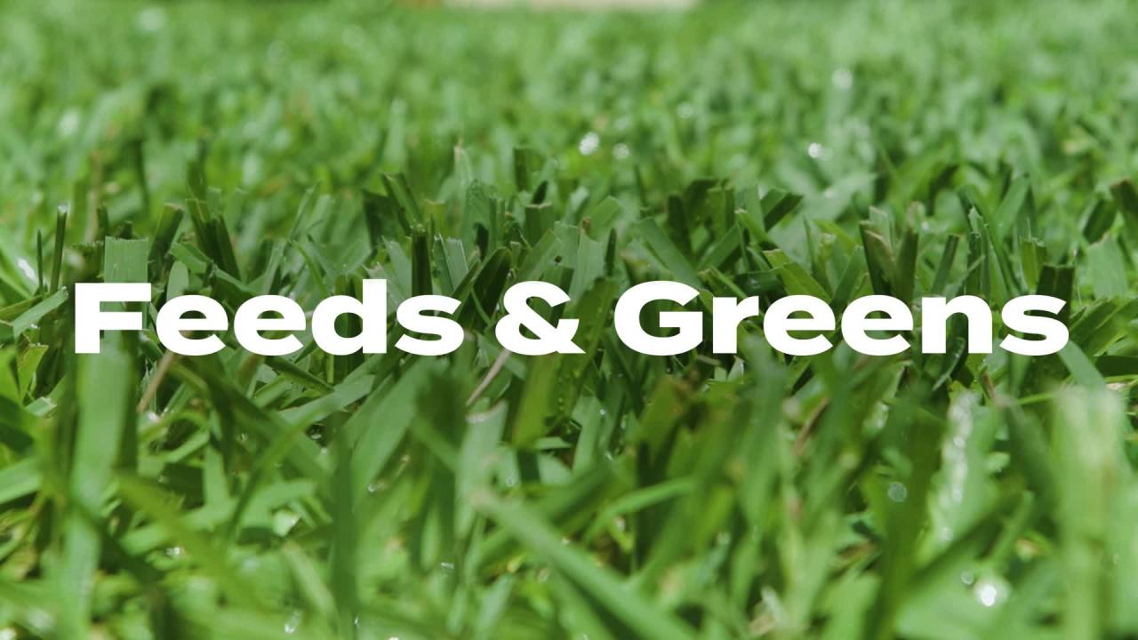 thumbnail video image 2 of Scotts Turf Builder Bonus S Southern Weed & FeedF2, 17.24 lbs., 2 of 11