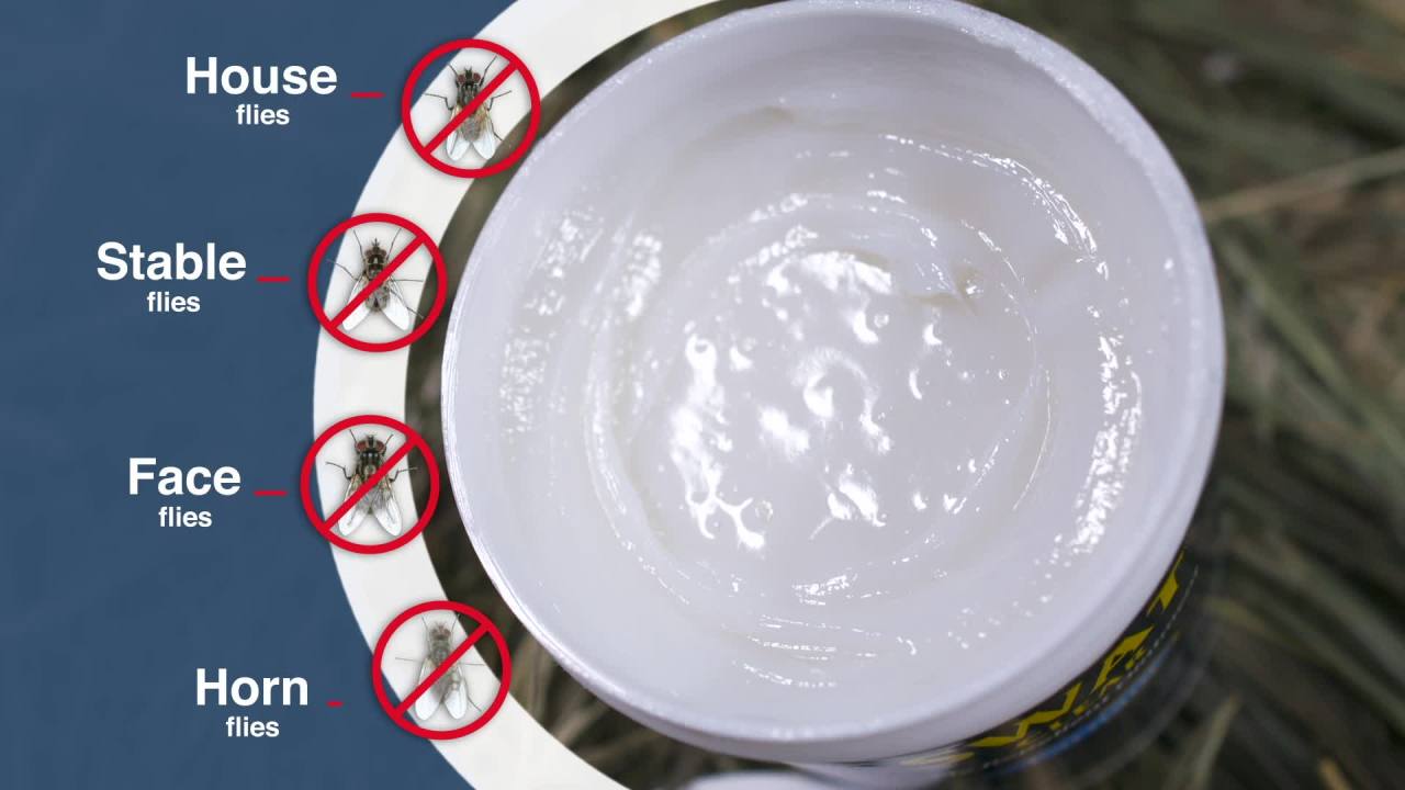 thumbnail video image 2 of SWAT Fly Repellent Ointment for Wounds, Sores, Scratches and Abrasions, 2 of 13