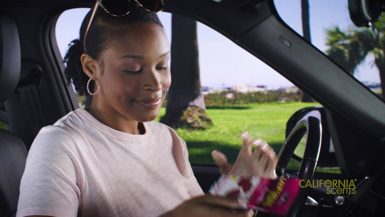 thumbnail video image 2 of California Scents Hidden Car Air Freshener Scent Bloc (Coronado Cherry Scent), 2 of 11