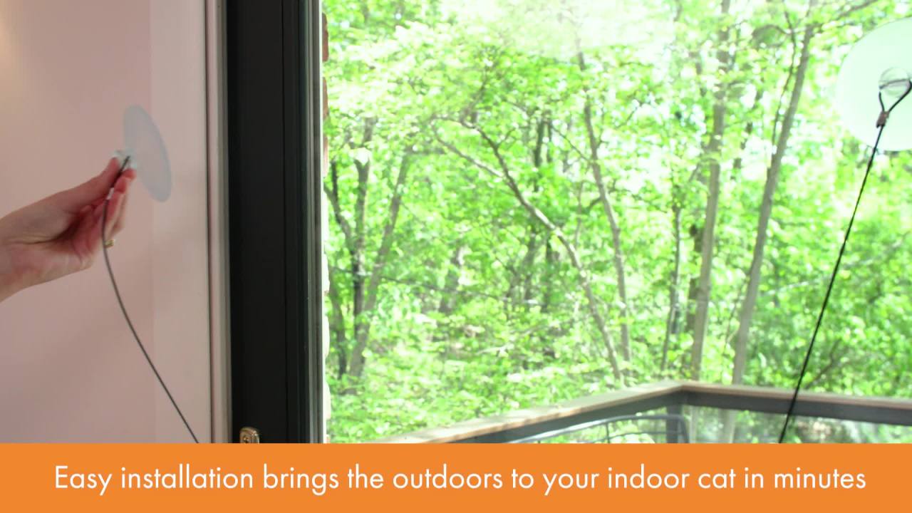 thumbnail video image 2 of K&H Pet Products EZ Mount Window Kitty Sill Cat Perch with Cat Grass Grow Station Quad Stack Gray 23 X 12 Inches, 2 of 12