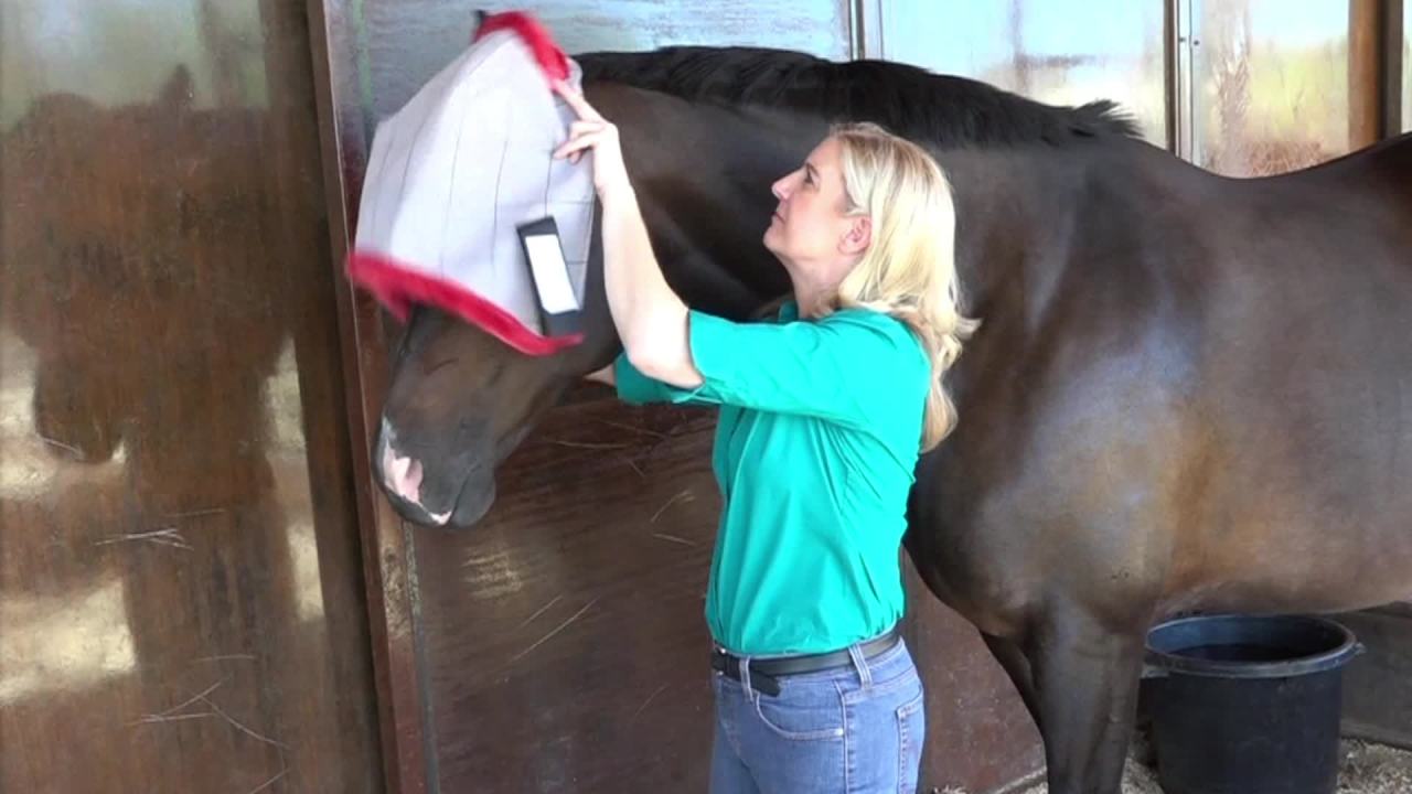thumbnail video image 2 of Farnam SuperMask II Horse Fly Mask with Ears Assorted Average Size Horse, 2 of 14