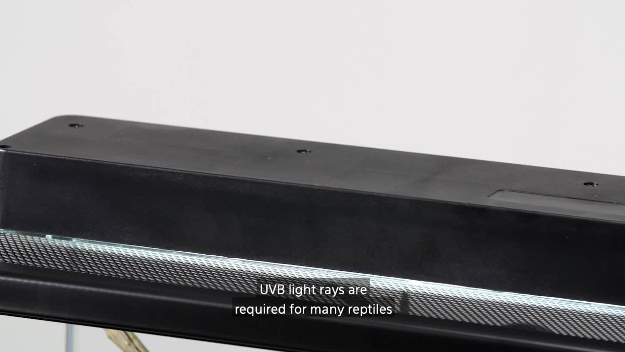 thumbnail video image 2 of Zilla T8 Fluorescent Bulbs Desert Series 50, 15 Watts, 2 of 6