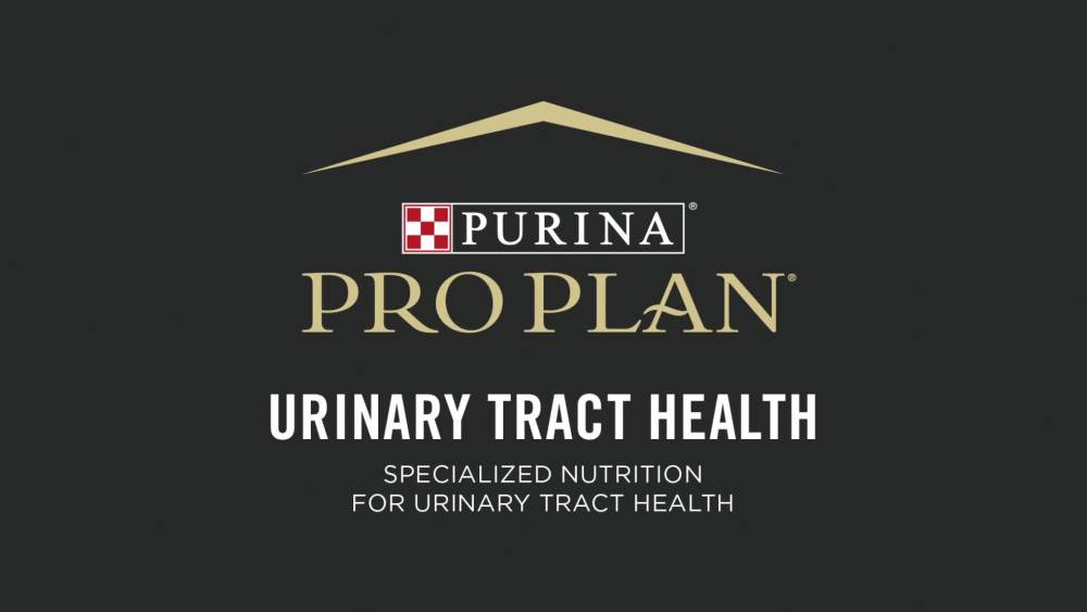 Purina Pro Plan Urinary Tract Health Wet Cat Food Chicken, 3 oz Cans (24 Pack) - image 2 of 9