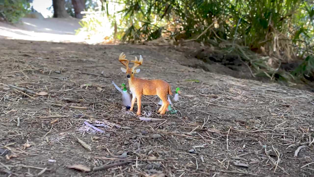 thumbnail video image 2 of NKOK RealTree 1:18 Scale: UTV Duck Hunting Playset - 6 Piece Free-Wheel Playset, RealTree EDGE Camouflage, Duck Hunting #21712, Officially Licensed, For Kids Ages 3+, 2 of 9