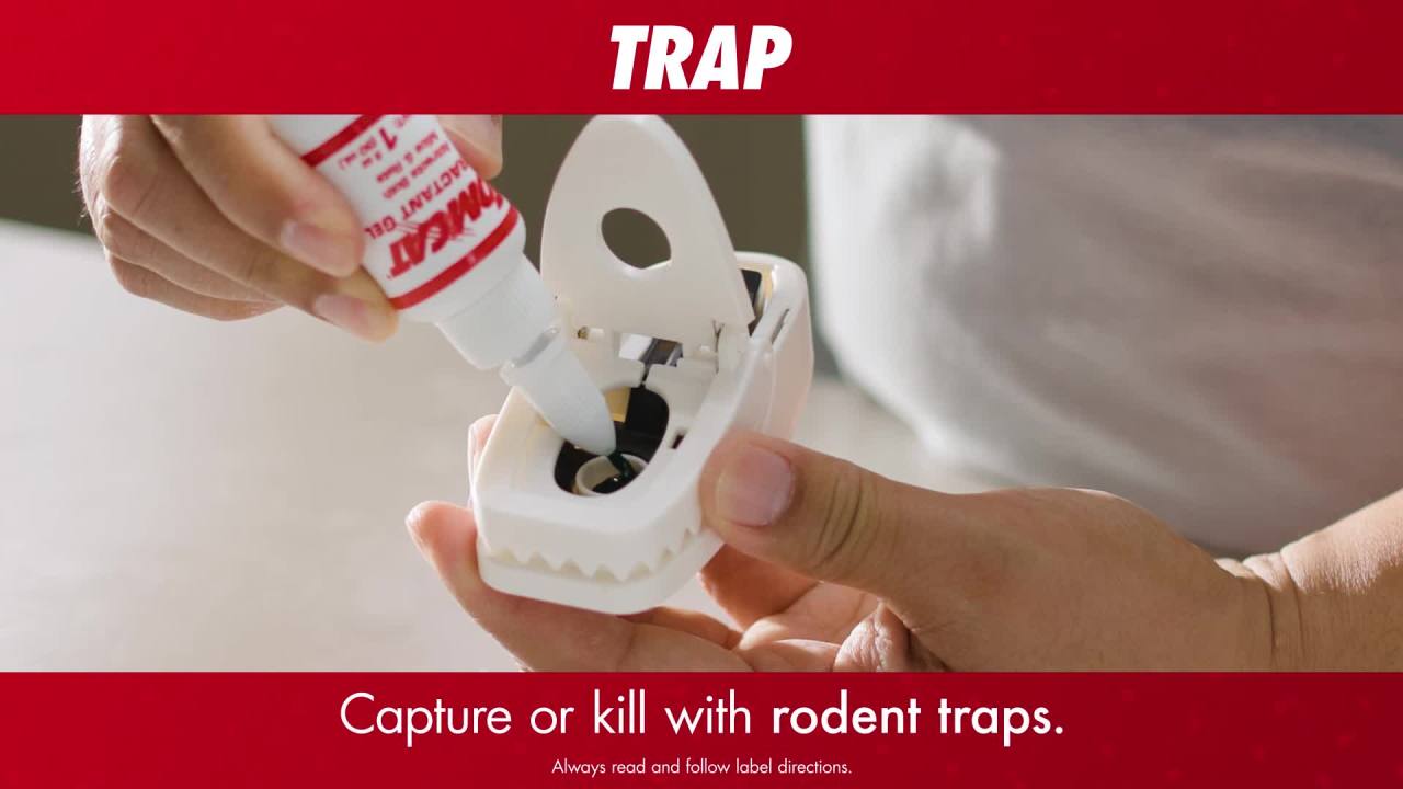 thumbnail video image 2 of Tomcat Repellents, Rodent Repellent Ready-to-Use - Mouse and Rat Prevention, 1 gal., 2 of 13