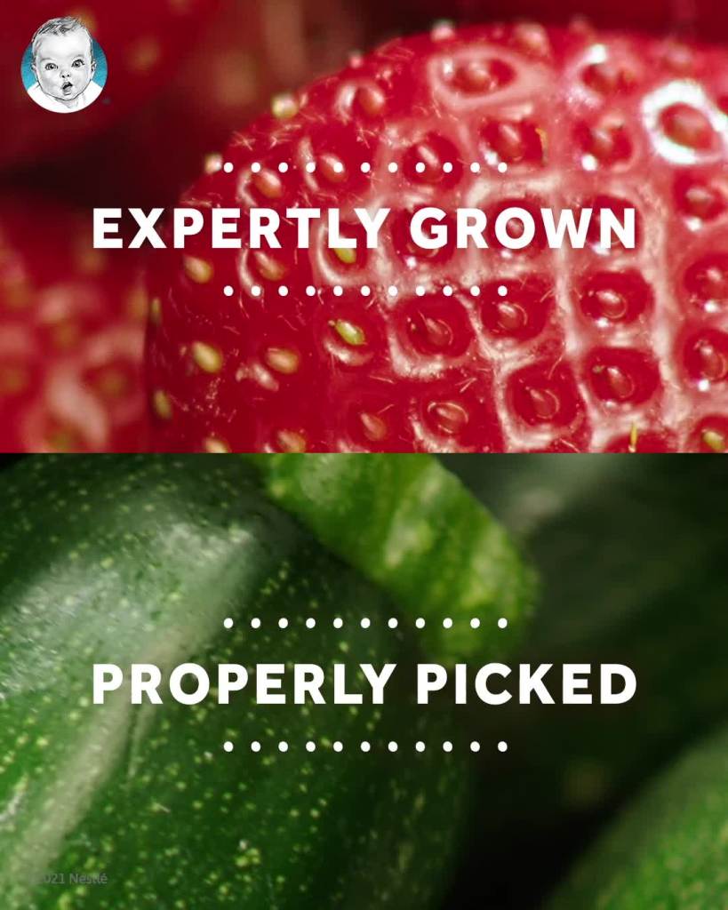 thumbnail video image 2 of (Pack of 8) Gerber 1st Foods Natural Fruit & Veggie Variety Pack, 4 Oz Jars, 2 of 10