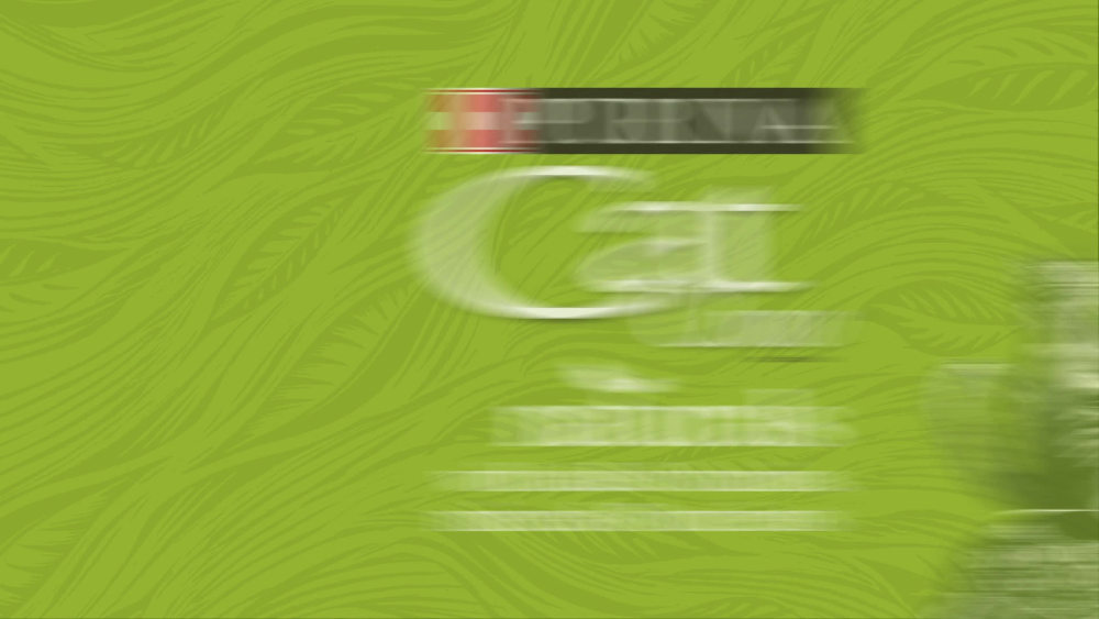 Purina Kitten Chow Naturals Dry Cat Food for Kittens, 6.3 lb Bag