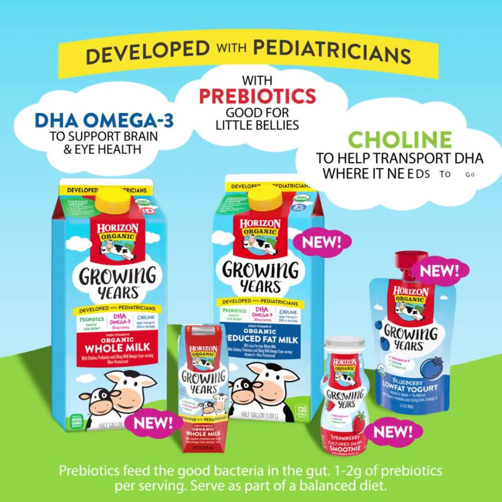 Horizon Organic Growing Years Low Fat Blueberry Yogurt Pouch with DHA