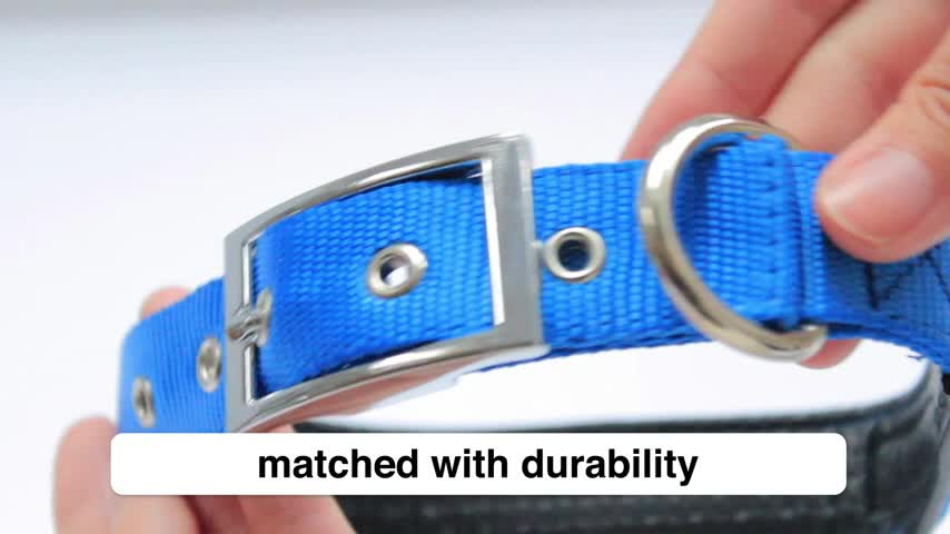 thumbnail video image 2 of Downtown Pet Supply Dog Collars for Large Dogs Padded Dog Collar Black, L, 2 of 5