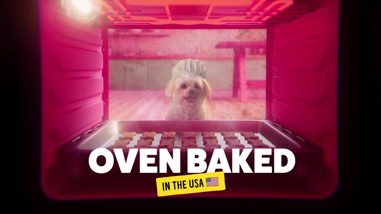 thumbnail video image 2 of BONKERS Barkery Small Breed Kickin' Chicken Flavored Dry Biscuit Treats for Dogs, 24oz Bag, 2 of 9