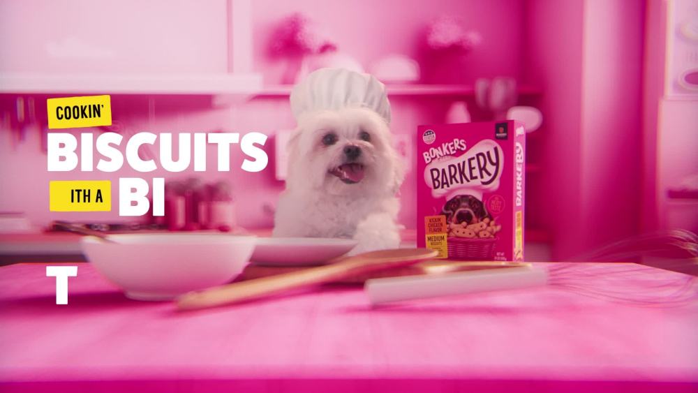 thumbnail video image 2 of BONKERS Barkery Mini Breed Kickin' Chicken Flavored Dry Biscuit Treats for Dogs, 15oz Box, 2 of 10