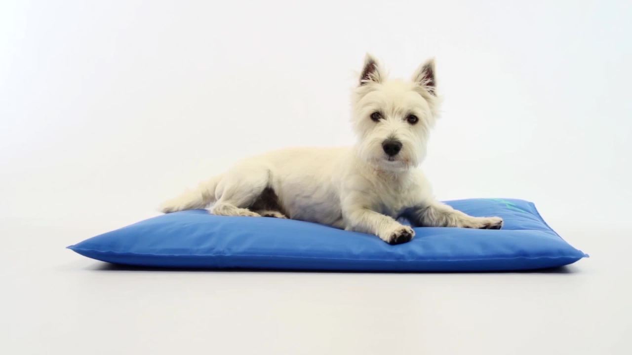 thumbnail video image 2 of K&H Pet Products Cool Bed III Blue Large 32 X 44 Inches, 2 of 10