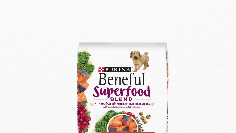 Purina Beneful Superfood Blend Dry Dog Food Natural Salmon, 12 lb Bag