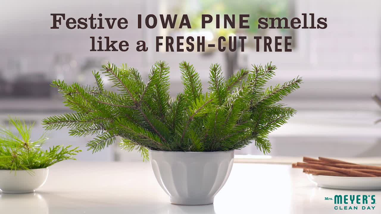 thumbnail video image 2 of Mrs. Meyer's Clean Day Liquid Hand Soap, Iowa Pine Scent, 12.5  fl oz Bottle, 2 of 9