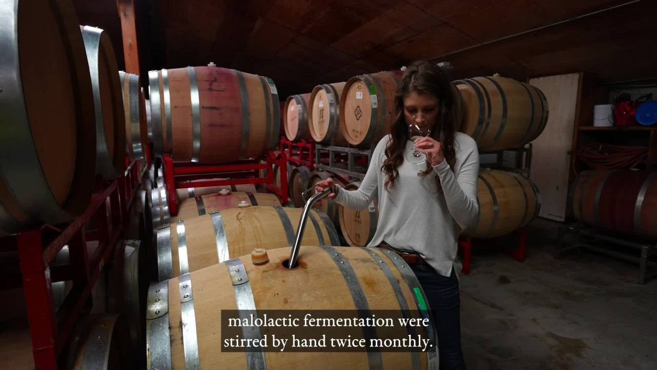 thumbnail video image 2 of Wente Vineyards Chardonnay California White Wine, 750 ml Bottle, 14% ABV, 2 of 12