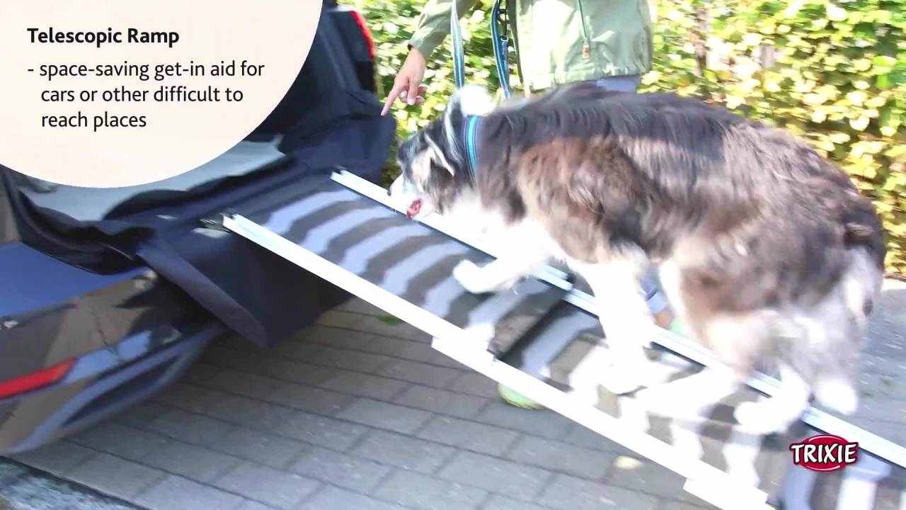 thumbnail video image 2 of TRIXIE Collapsible Non-Slip 69" Long Aluminum Pet Ramp, Silver-Black, 198 lb Limit, 2 of 8