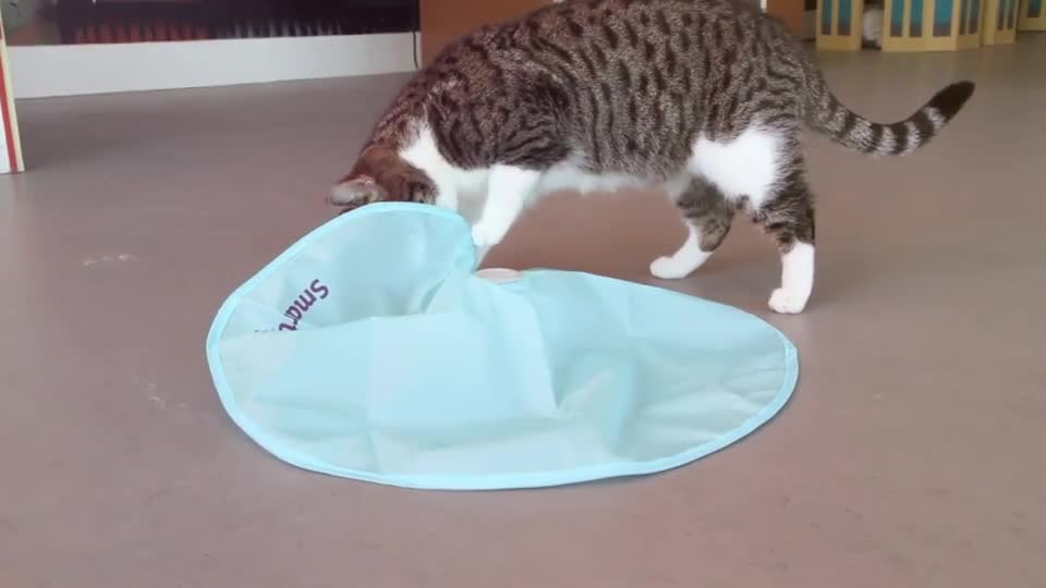 thumbnail video image 2 of SmartyKat Hot Pursuit Electronic Concealed Motion & Light Cat Toy with Faux Fur Wand, 2 of 9