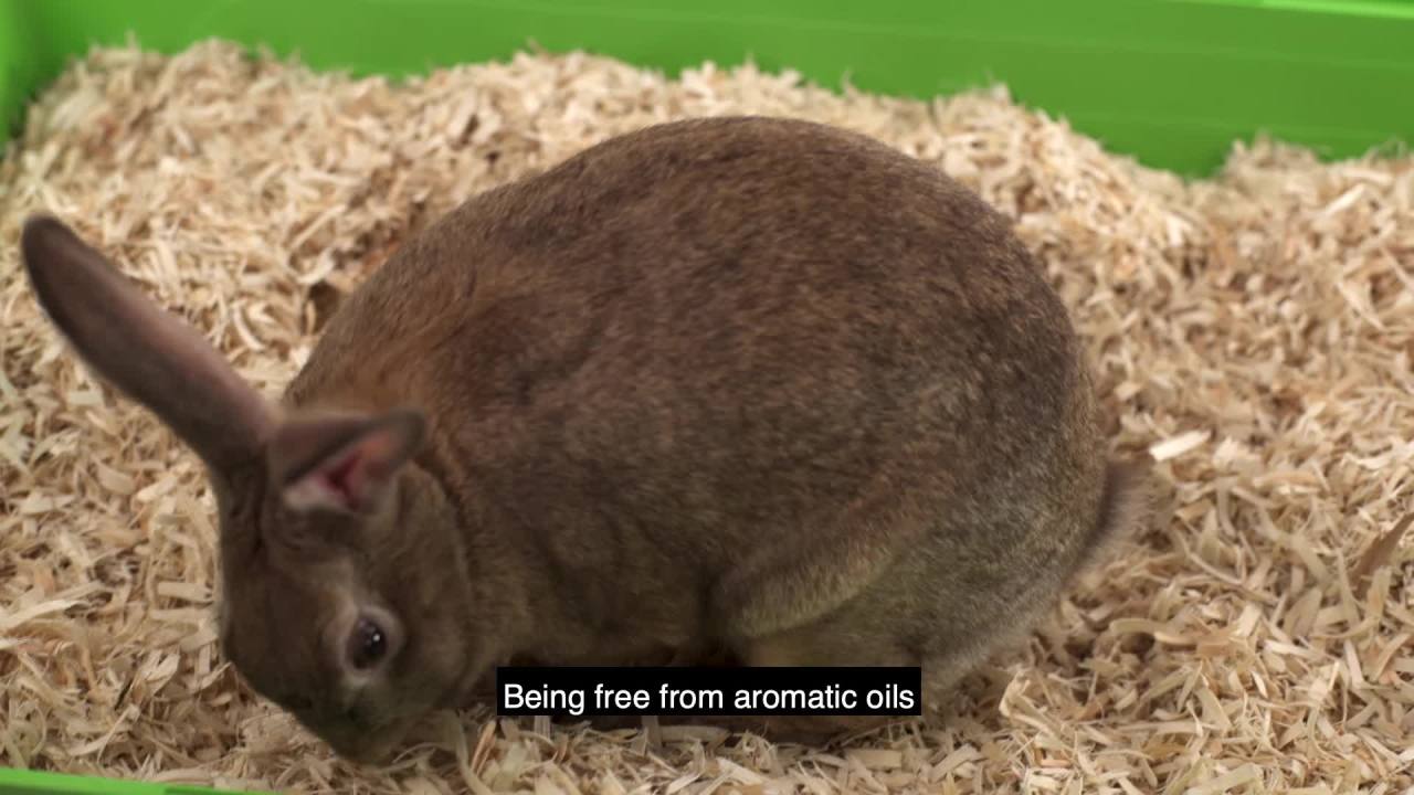 thumbnail video image 2 of Kaytee Small Animal Hardwood Aspen Bedding For Guinea Pigs, Rabbits, Hamsters, 54.2L, 2 of 6