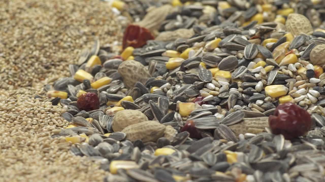 thumbnail video image 2 of Kaytee Supreme Parakeet Food, 20 Pounds, 2 of 8