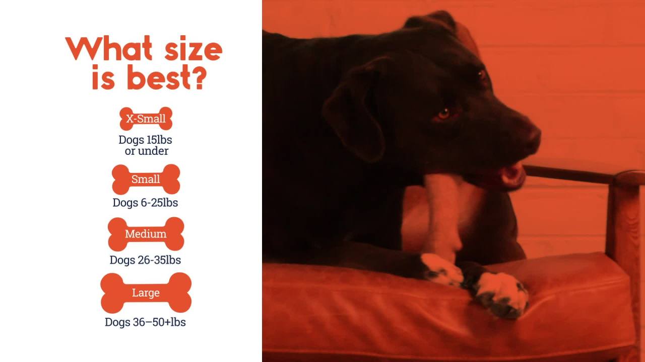 thumbnail video image 2 of Petstages Dogwood Stick Dog Chew Toy, 2 of 3