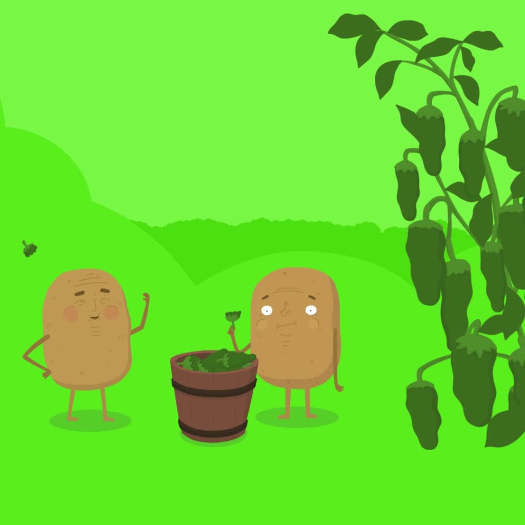 thumbnail video image 3 of Kettle Brand Potato Chips, Jalapeno Kettle Chips, Party Size, 13 oz, 3 of 10