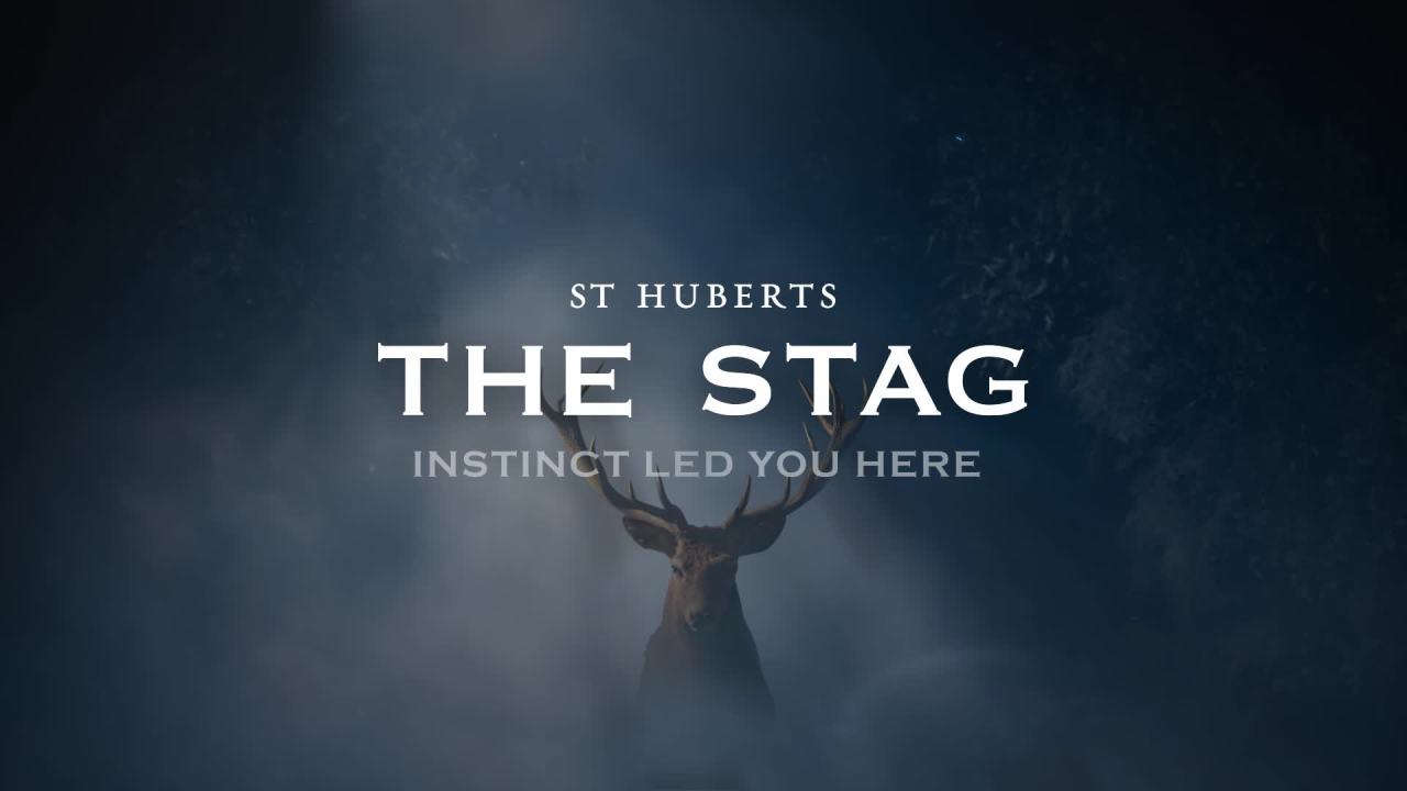 thumbnail video image 2 of St Huberts The Stag Paso Robles Red Wine Blend, 750ml Glass wine bottle, California, 14.8 % ABV, 2 of 10