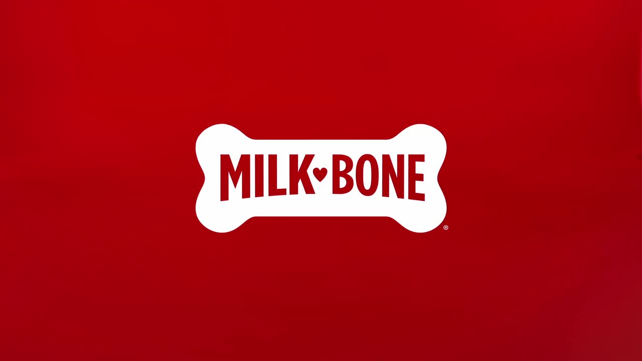 thumbnail video image 2 of Milk Bone MaroSnacks Halloween Dog Treats, 25 oz Canister, 2 of 8