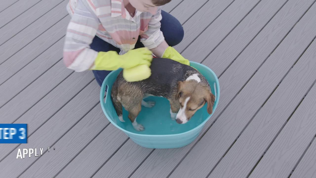 thumbnail video image 2 of ADAMS Plus Pyrethrin Dip For Dogs and Cats, Kills and Repels Fleas, Ticks, Lice, Gnats, Mosquitoes and Flies, 4 fl oz, 2 of 12