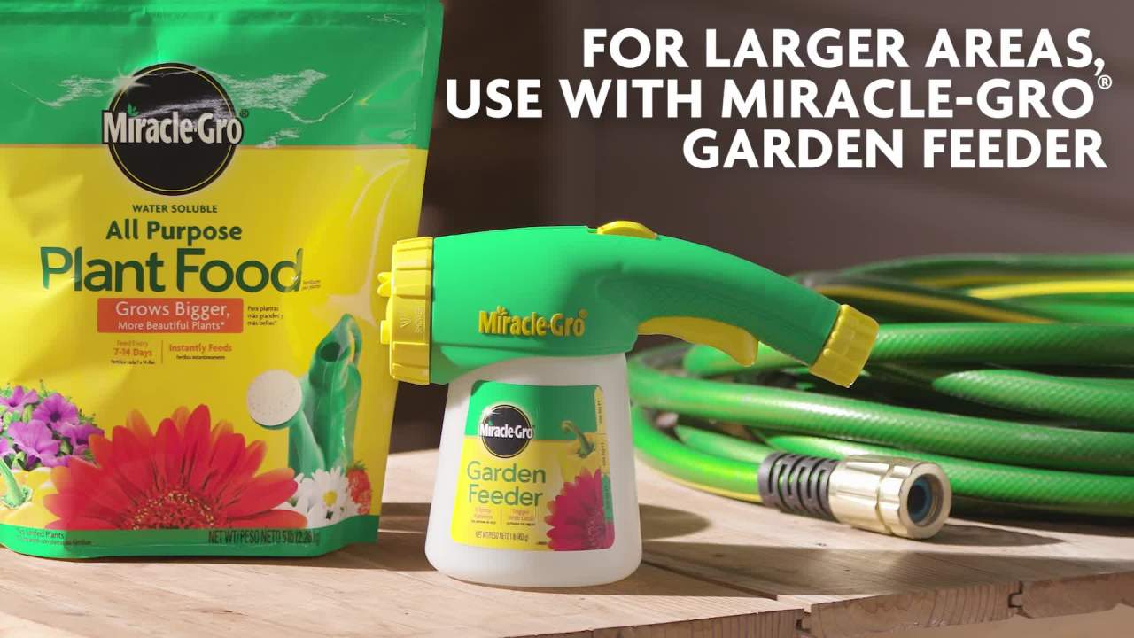 thumbnail video image 2 of Miracle-Gro Water Soluble All Purpose Plant Food 5 lb., 2 of 13