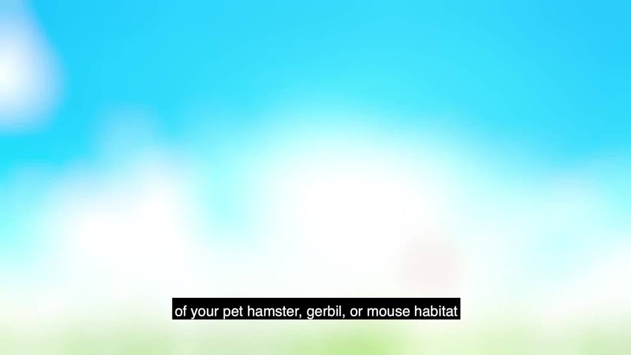 thumbnail video image 2 of Kaytee CritterTrail Accessory 3 Activity, 2 of 15