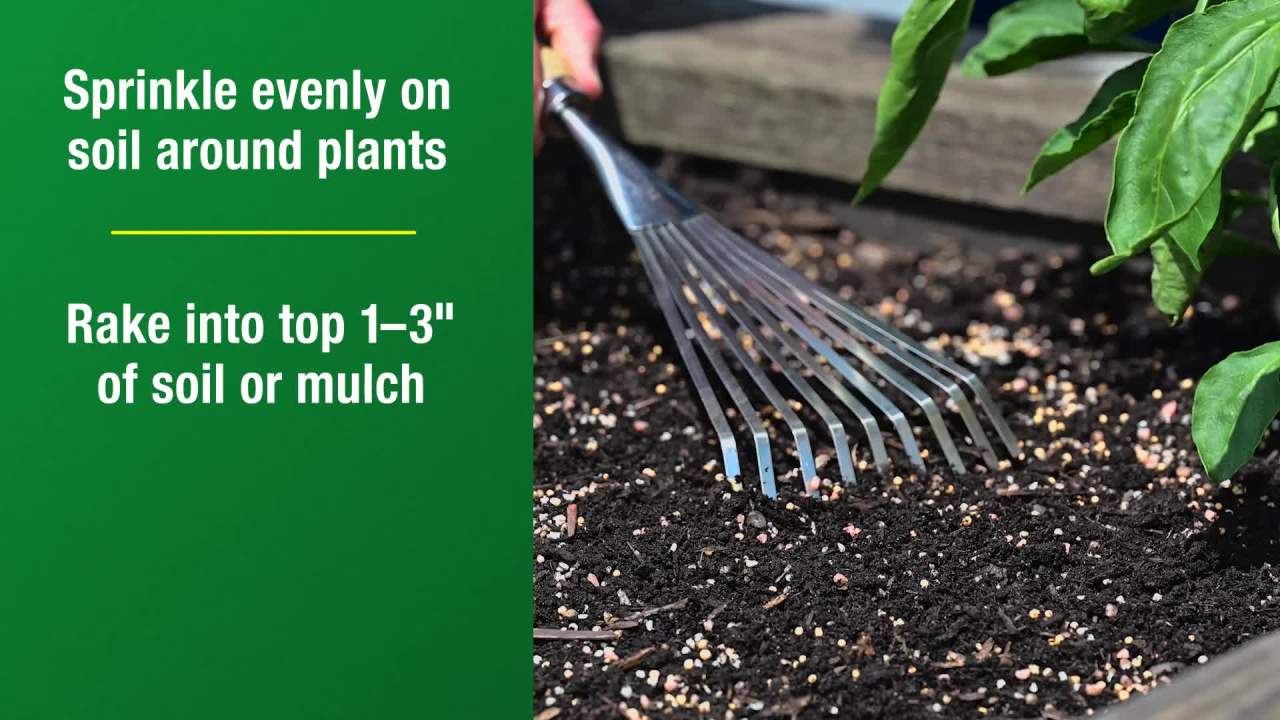 thumbnail video image 2 of Scotts All Purpose Flower and Vegetable Continuous Release Plant Food, 3 lb., 2 of 11