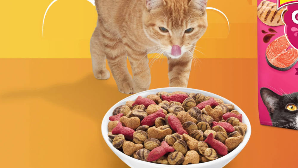 Friskies Dry Cat Food, Gravy Swirlers, 6.3 lb. Bag