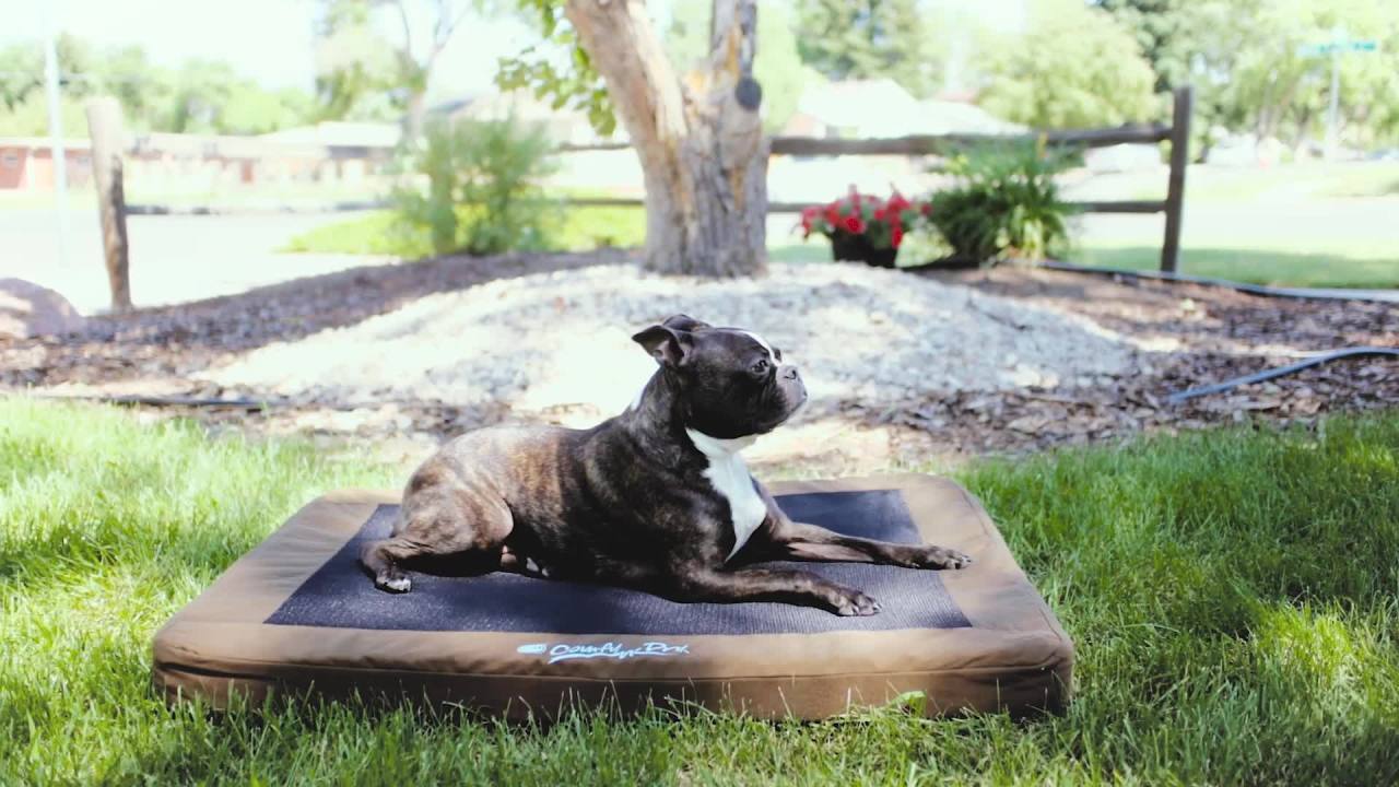 thumbnail video image 2 of K&H Comfy N' Dry Indoor/Outdoor Pet Bed, 2 of 4