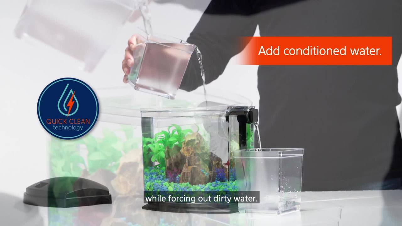thumbnail video image 2 of Aqueon BettaBow with Quick Clean Technology Aquarium Kit Black Black 1 Gallon, 2 of 11