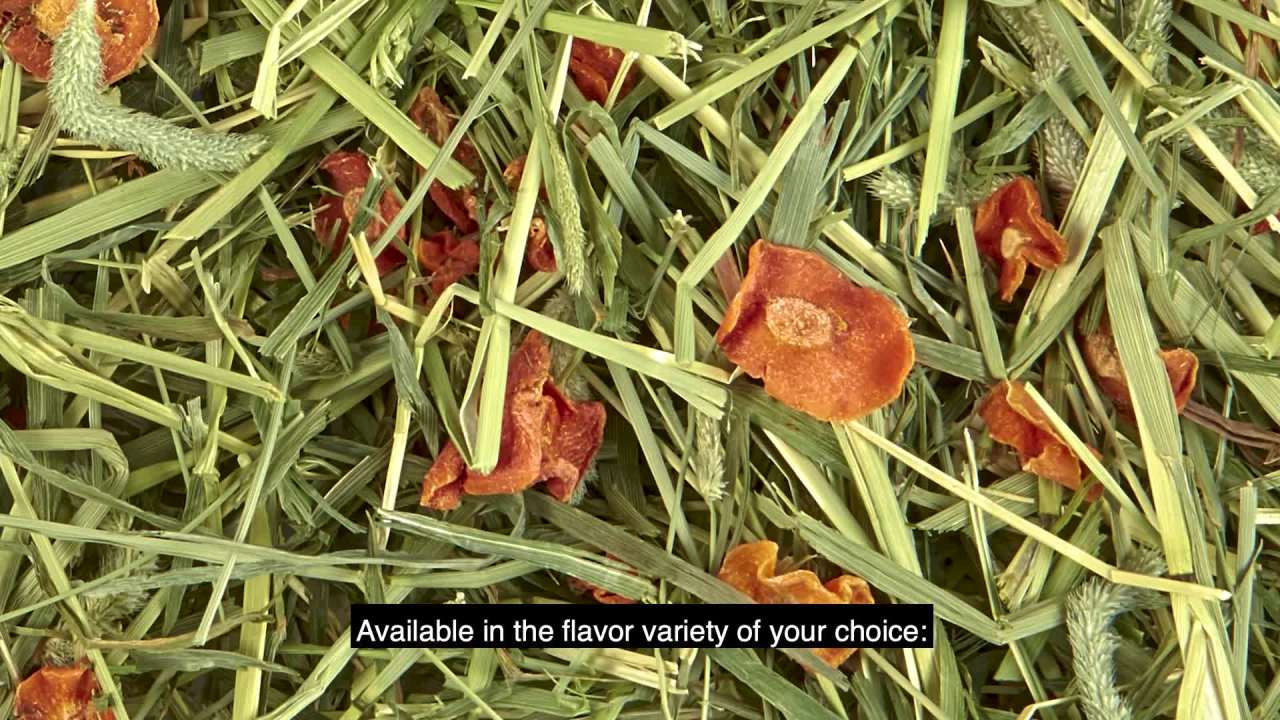 Curated visual reference: Gallery Detail: Kaytee Forti Diet Timothy Ultra Hay With Sweet Potatoes For