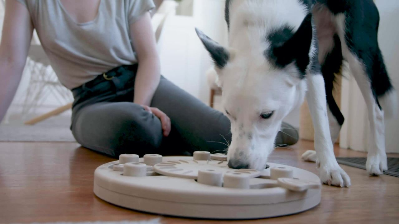 thumbnail video image 2 of Outward Hound by Nina Ottosson Dog Worker Treat Puzzle Enrichment Toy, Level 3 Advanced, Tan, 2 of 8