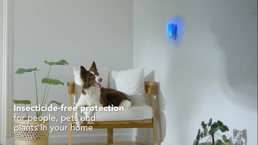 thumbnail video image 2 of Raid Essentials Flying Insect Light Trap Starter Kit, Electric Flying Insect Trap & Refill, 2 of 13