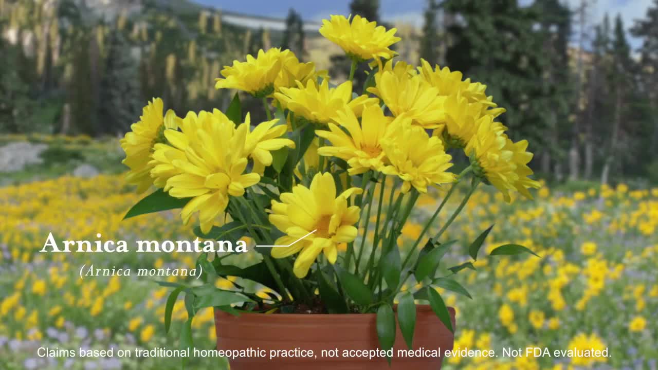 thumbnail video image 2 of Boiron Arnicare Leg Cramps, Homeopathic Medicine for Leg Cramp Relief, Cramps, Spasms, 33 Chewable Tablets, 2 of 11