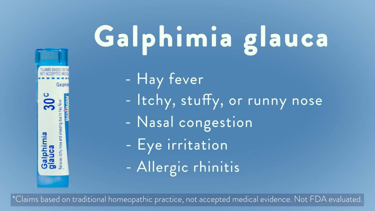 thumbnail video image 2 of Boiron Galphimia Glauca 30C Bonus Pack, Homeopathic Medicine for Hay Fever Relief, Itchy or Runny Nose, Sneezing, Watery Eyes, 240 Pellets, 2 of 14